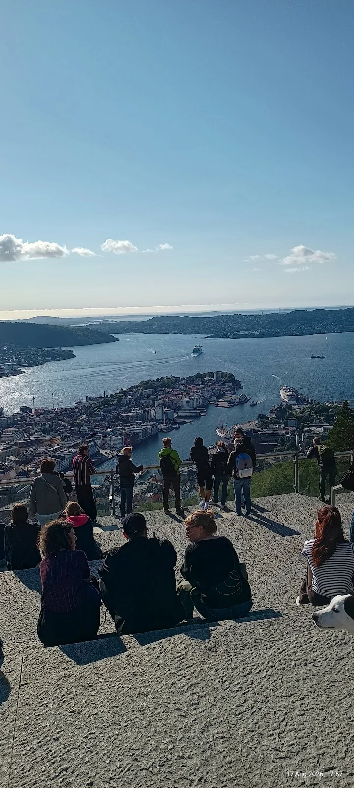 Besucher blicken von einem Aussichtspunkt über Bergen und den Fjord
