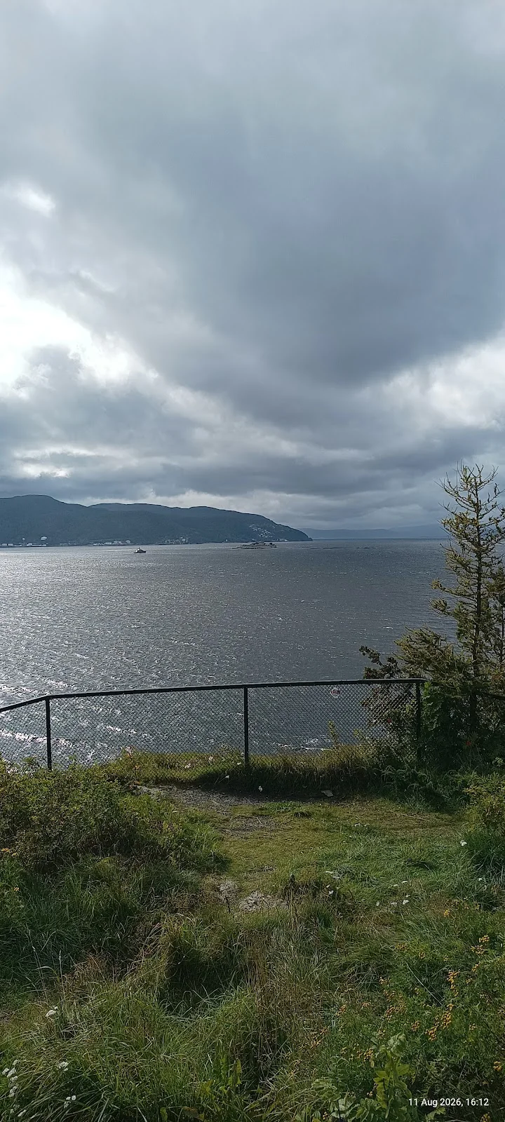 Küstenblick über einen Fjord von einem grasbewachsenen Aussichtspunkt